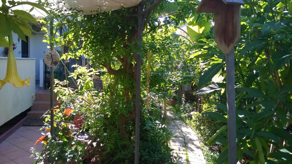 B&B Mare E Sole Brindisi Bagian luar foto