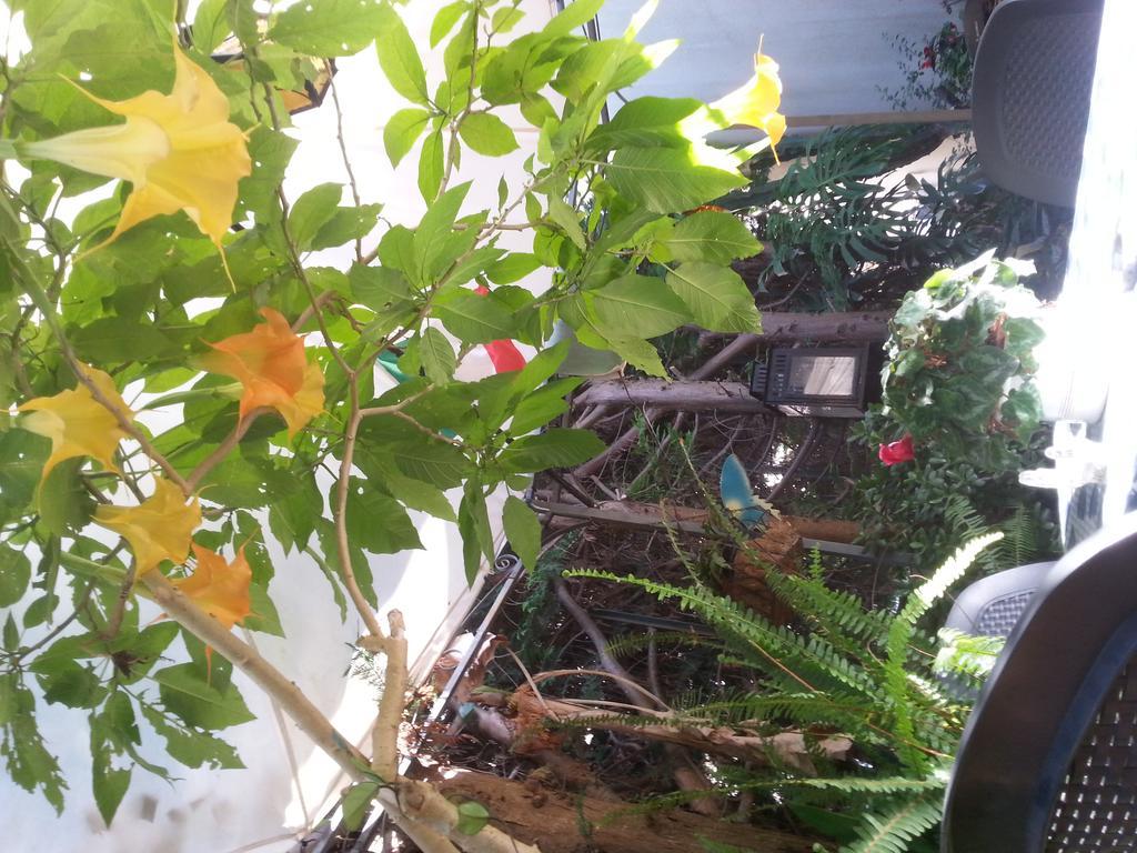 B&B Mare E Sole Brindisi Bagian luar foto