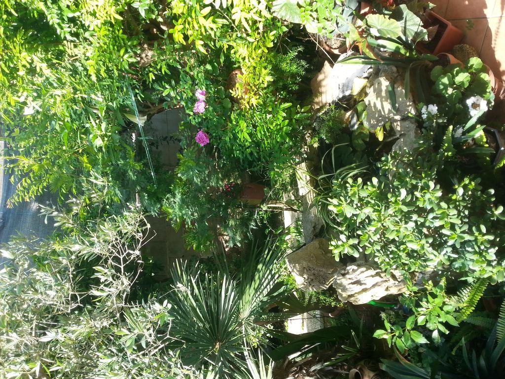 B&B Mare E Sole Brindisi Bagian luar foto